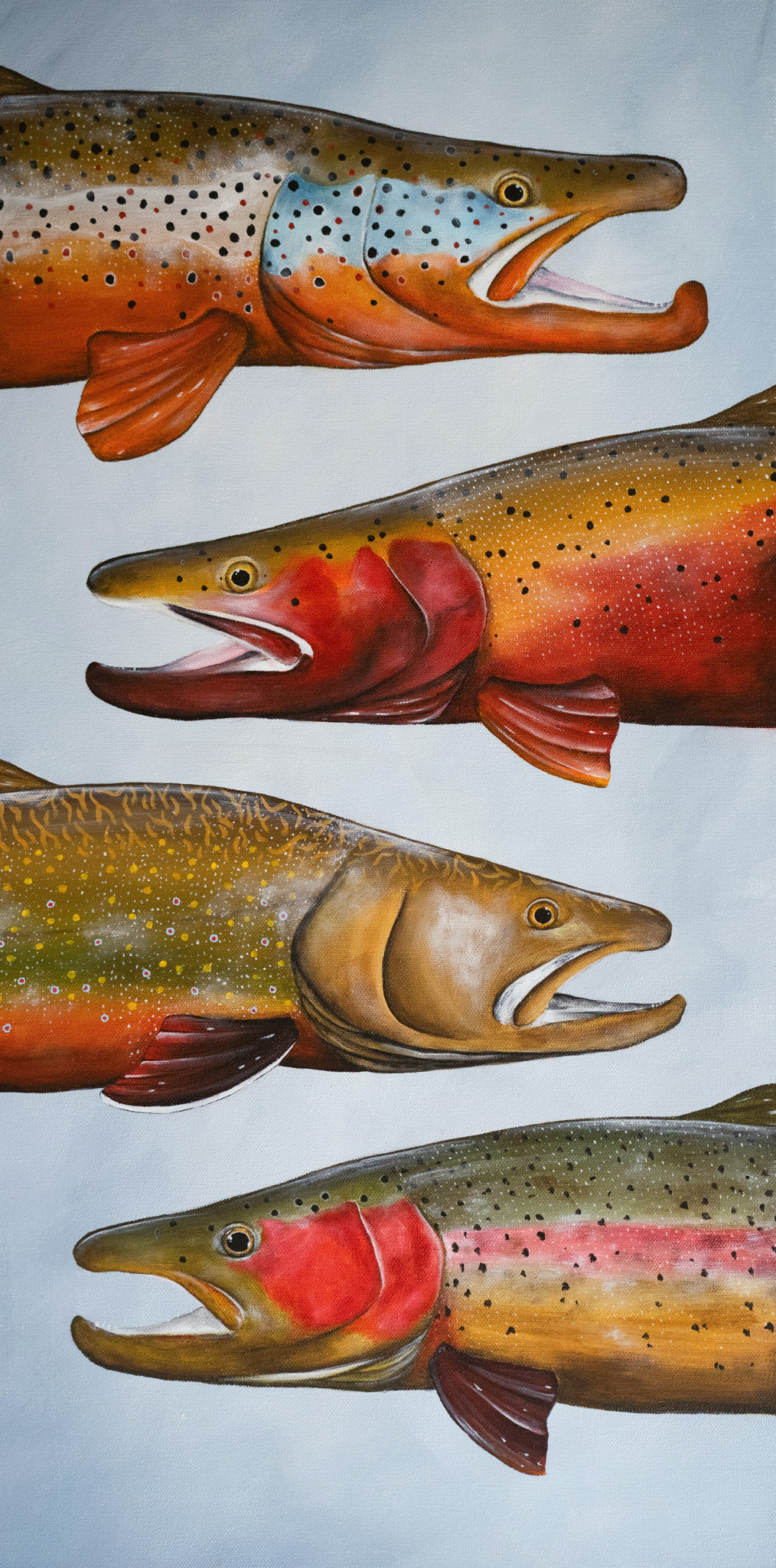 Four-Trout-Heads-1.jpg
