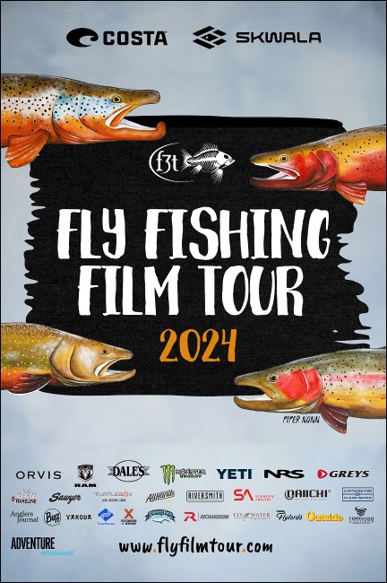 F3T 2024 Poster