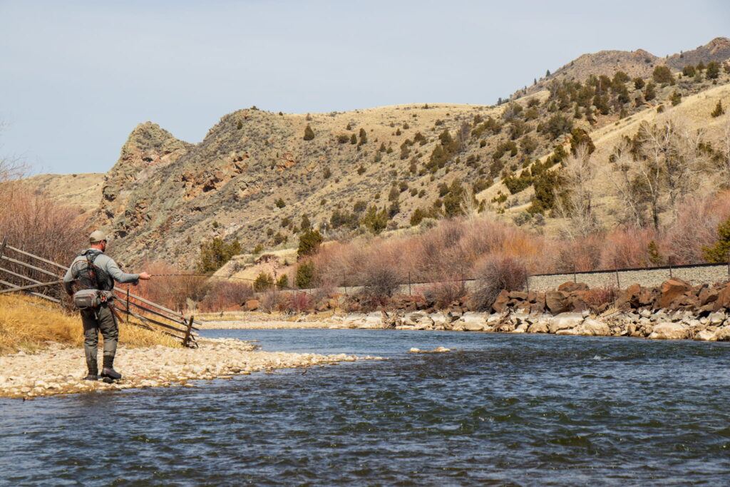 Montana Trout Research Update: 2025 Field Season