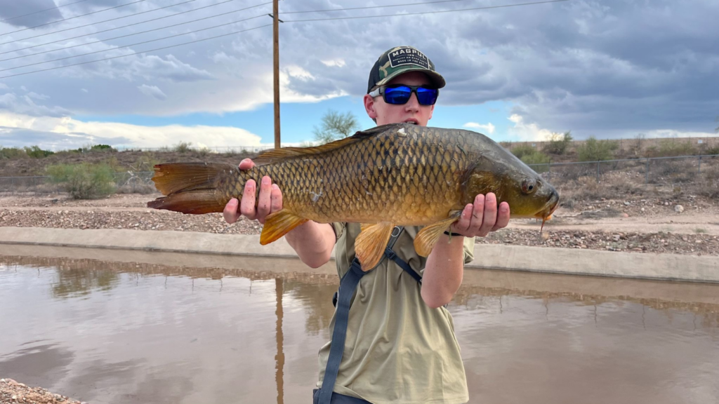 Valley of the Sun Carp Rally | Arizona Fly Fishing Event
