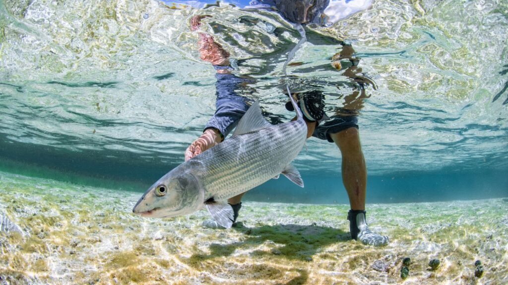 Blue Horizon Lodge Belize | Permit Alley Fishing